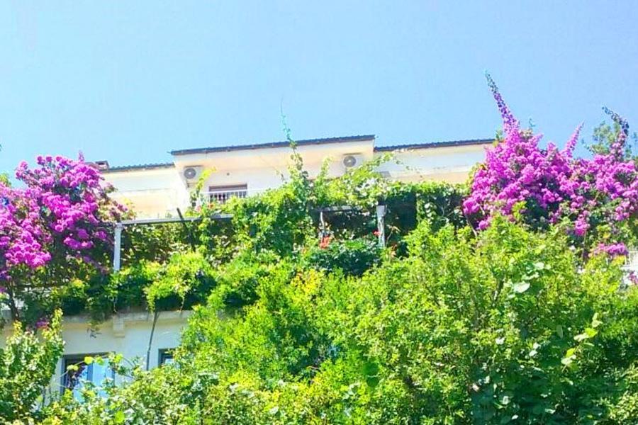 Madra Rooms And Apartments Будва Екстер'єр фото
